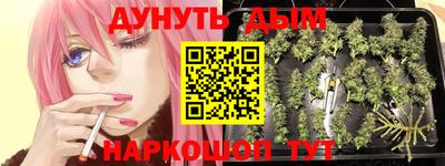 Альфа ПВП Анапа
