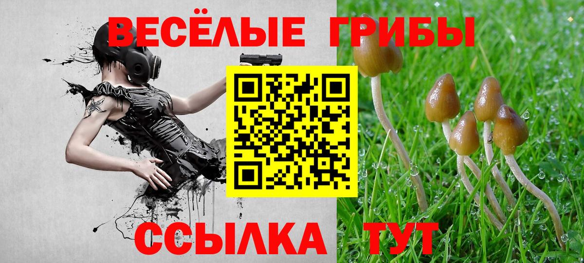 Троицк  Галлюциногенные грибы MAGIC MUSHROOMS  Вход с VPN 