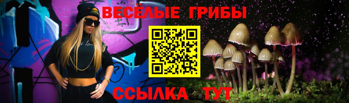 Псилоцибиновые грибы GOLDEN TEACHER Троицк